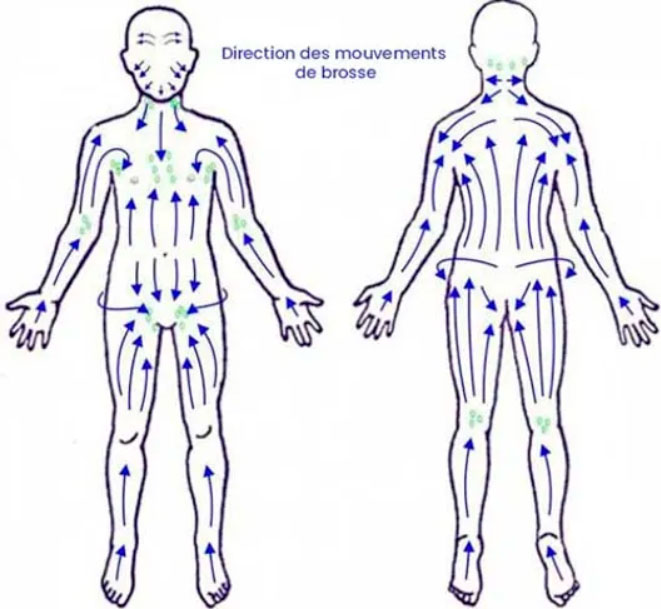 direction des mouvements de brosse